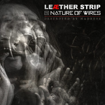 Nature of Wires / Leather Strip – “Destroyed By Madness”
